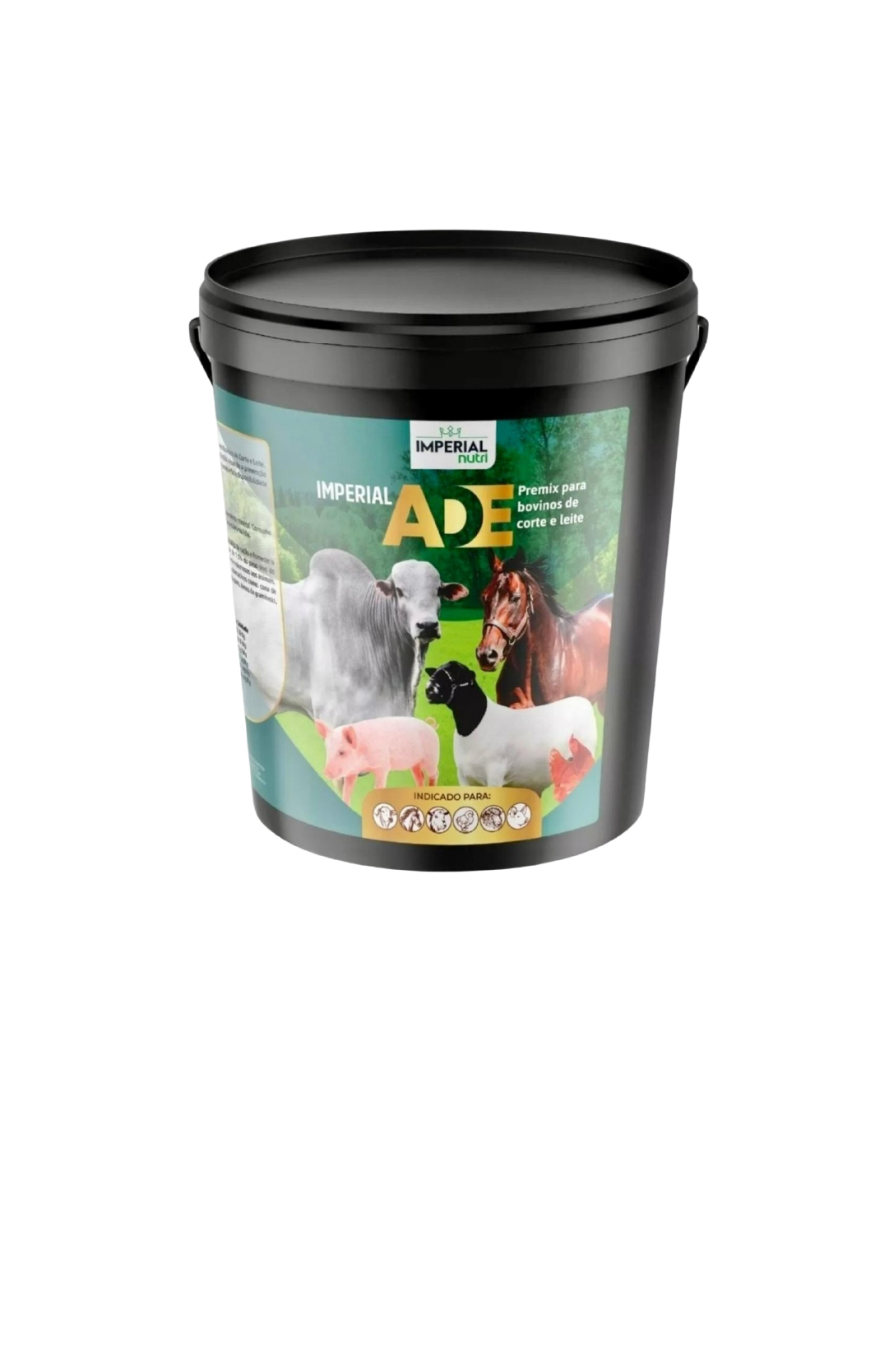 ADE